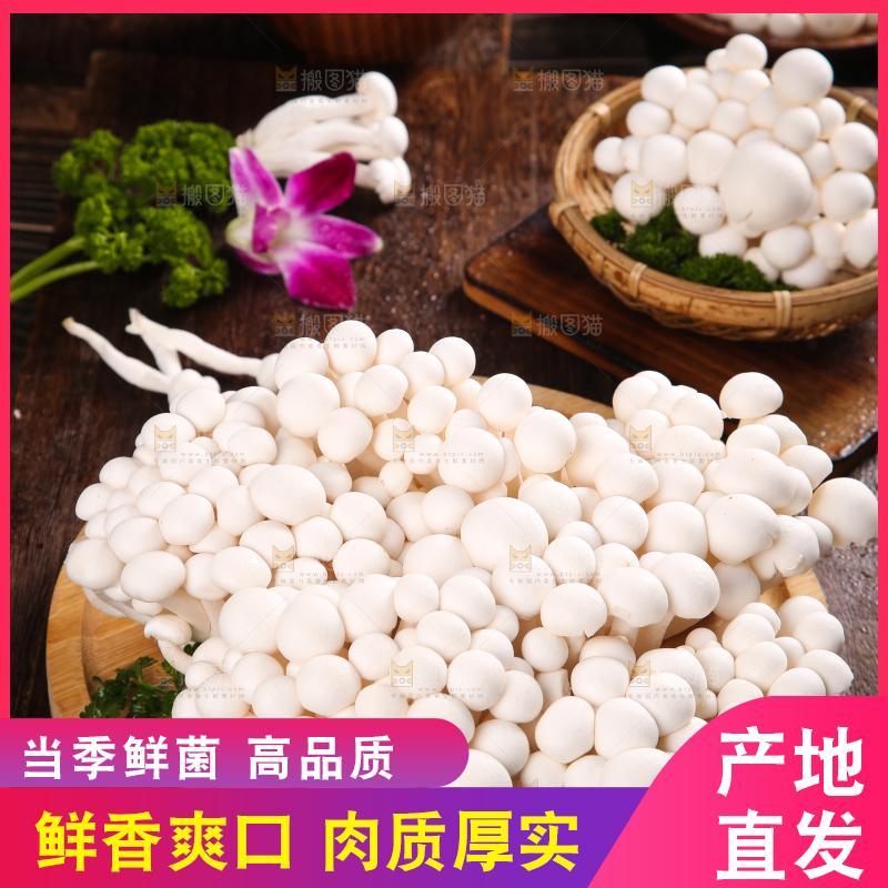 深底上的白玉菇