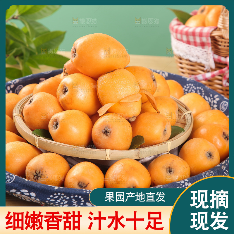 篮子里装着大枇杷