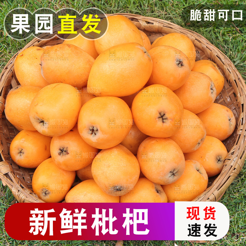 篮子里装着大枇杷