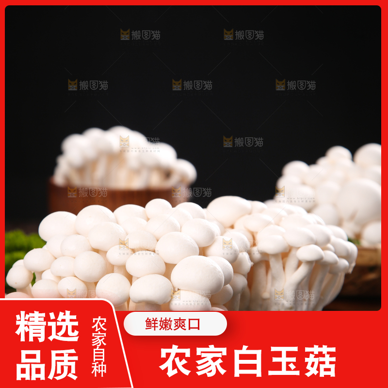 深底上的白玉菇