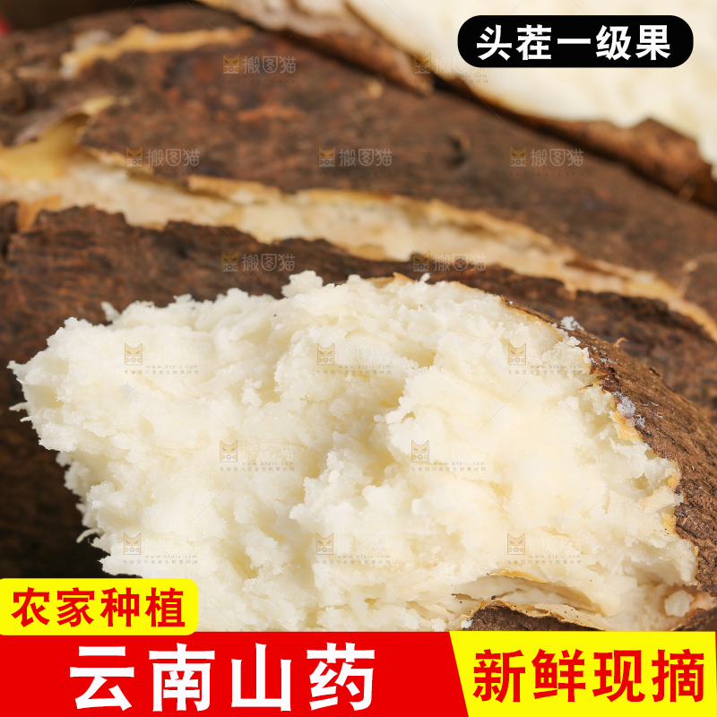 浅底上的云南山药
