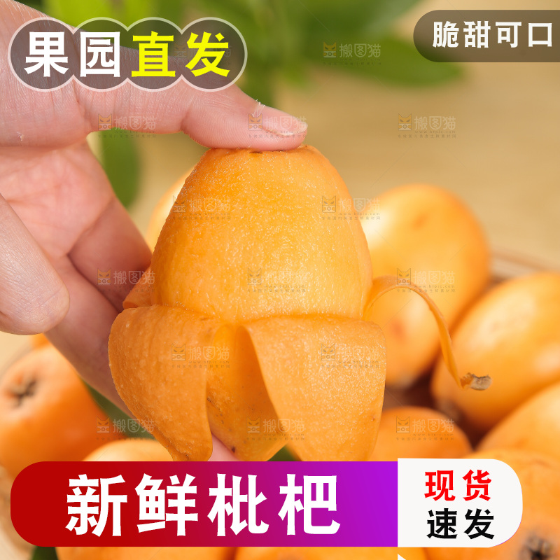 手里拿着枇杷