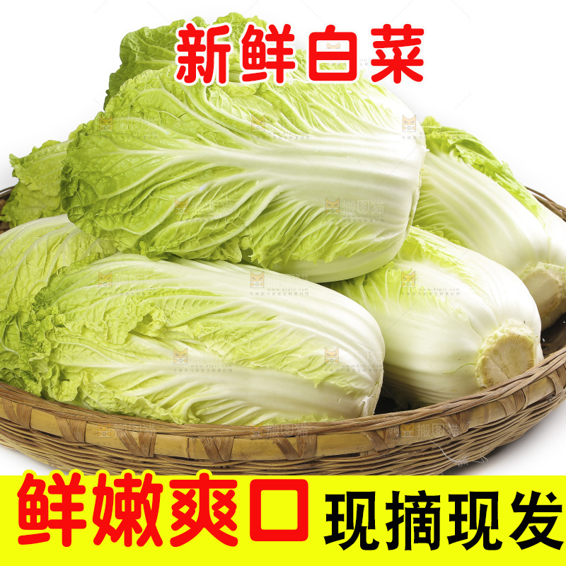 篮子里装着大白菜