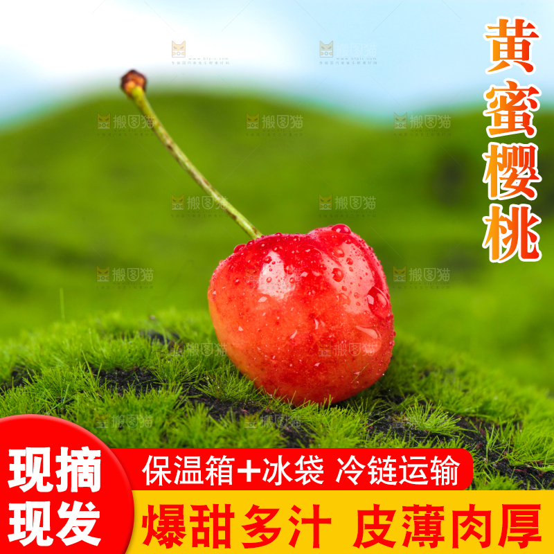 草地上的黄蜜樱桃