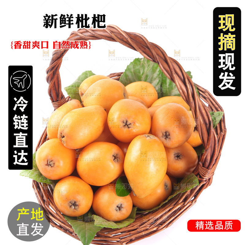 白底上放着一篮五星枇杷