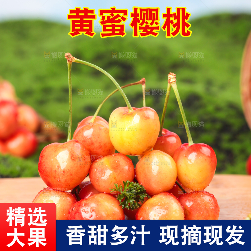 草地上的黄蜜樱桃