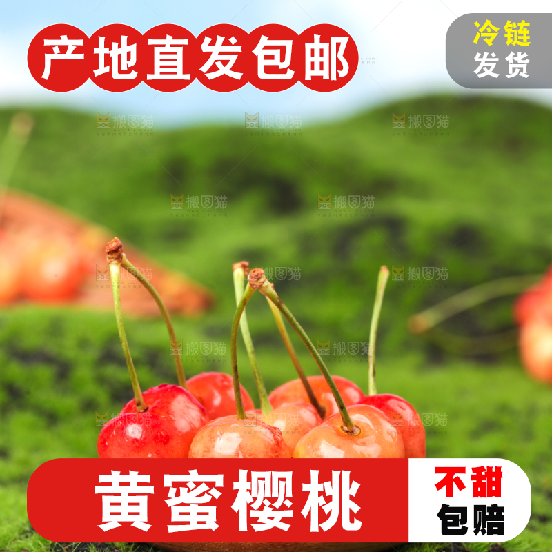 草地上的黄蜜樱桃