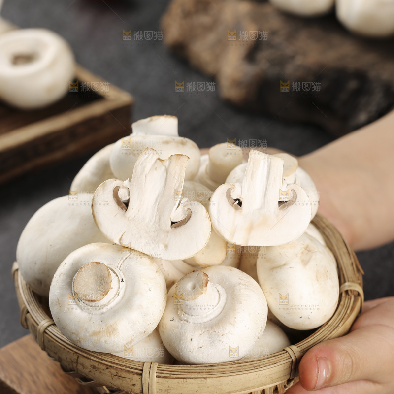 深底上的口蘑