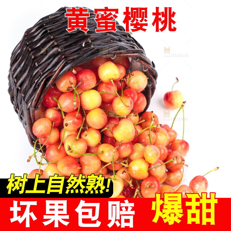 白底上的黄蜜樱桃