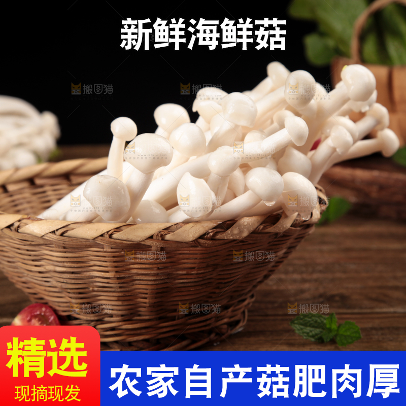 深底上的海鲜菇