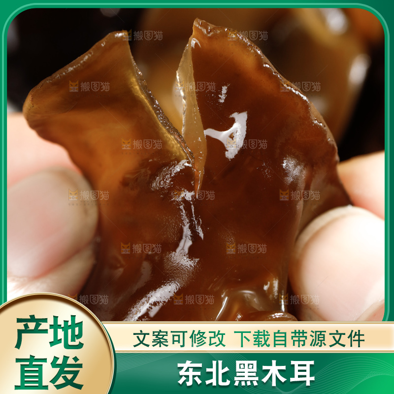 木底上的野生木耳