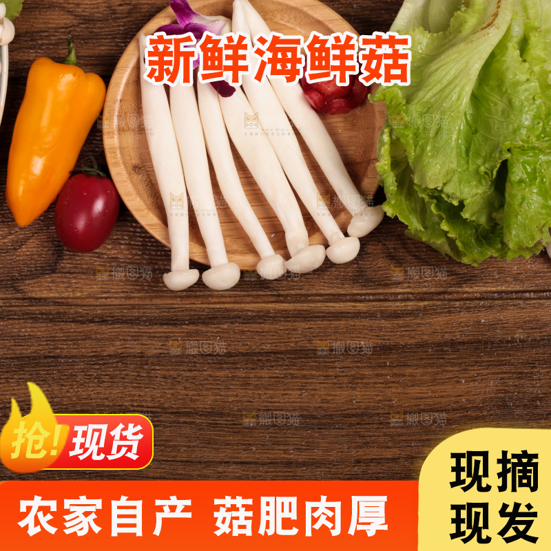 深底上的海鲜菇