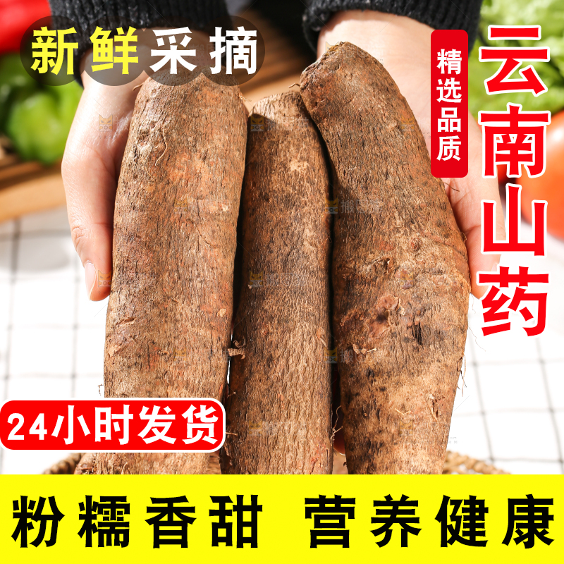 浅底上的云南山药