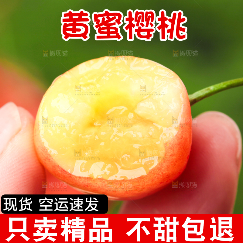 草地上的黄蜜樱桃