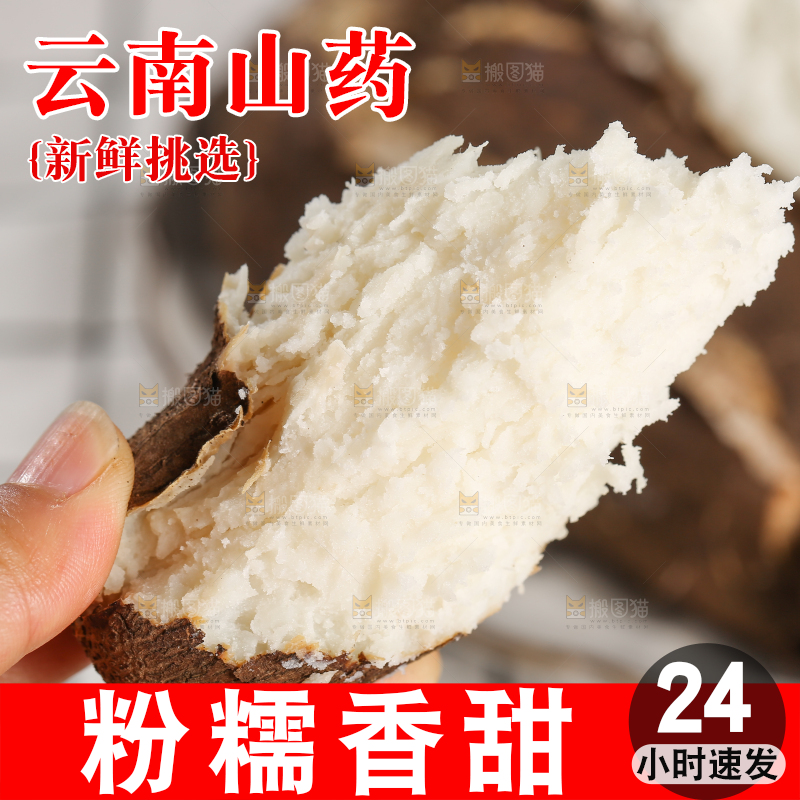浅底上的云南山药