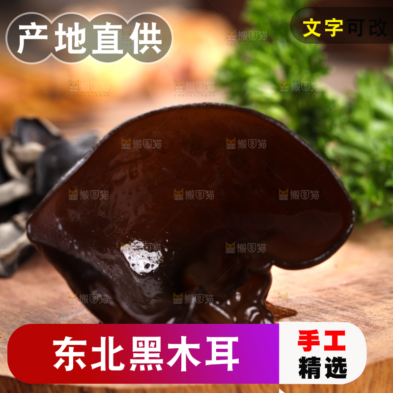 木底上的野生木耳