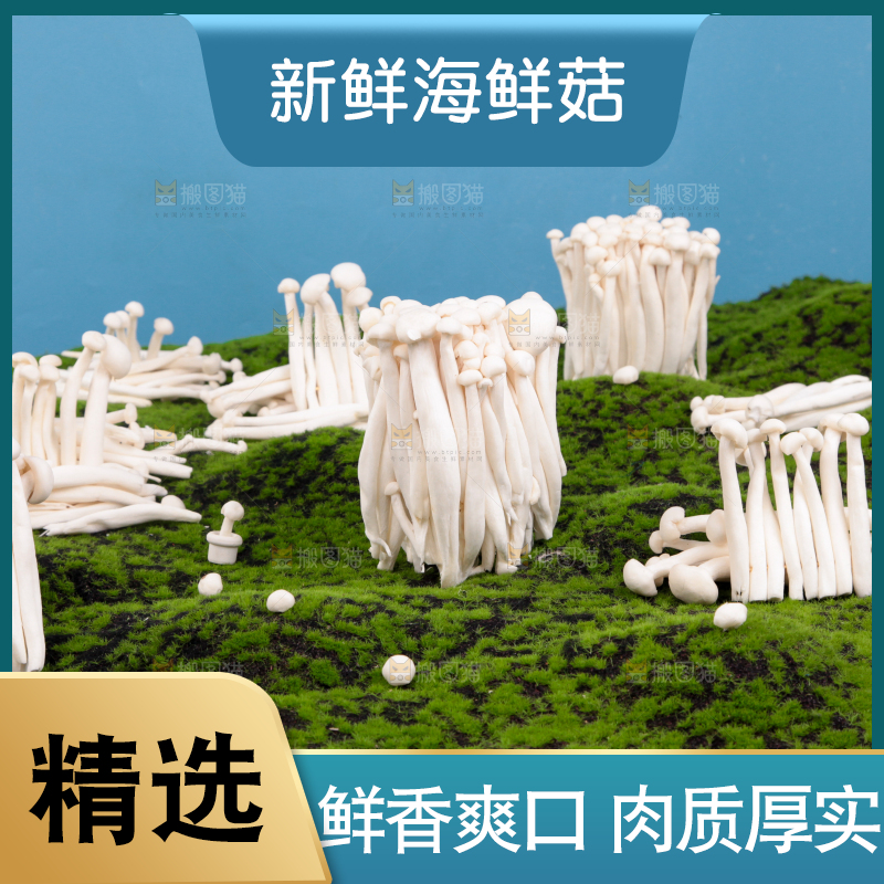 草地上的海鲜菇