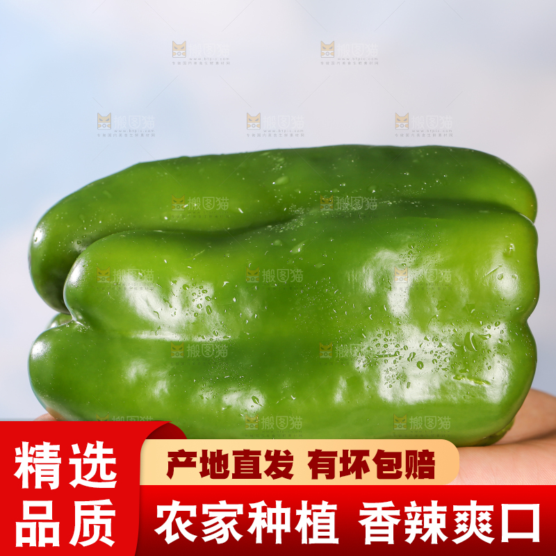 浅底上的青圆椒