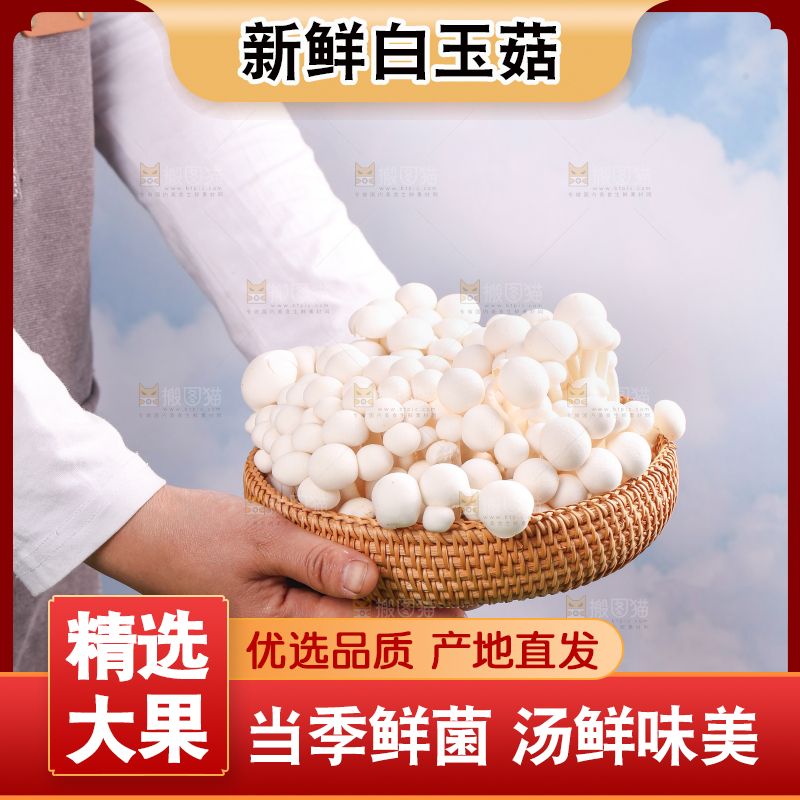 草地上的白玉菇
