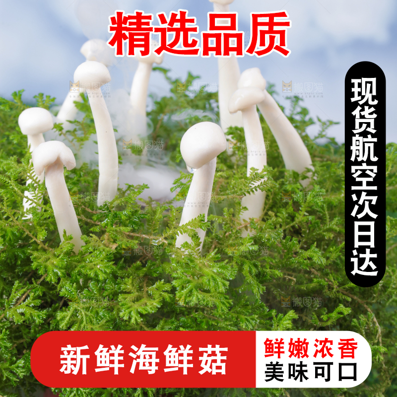 草地上的海鲜菇