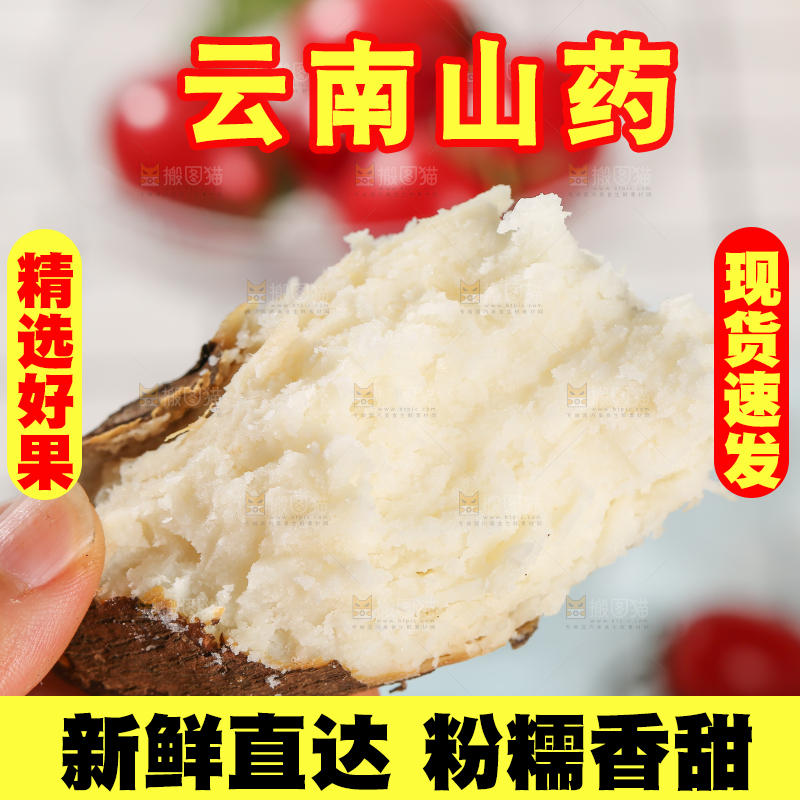 浅底上的云南山药