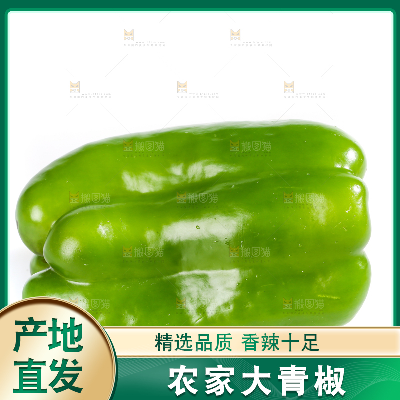 白底上的青椒