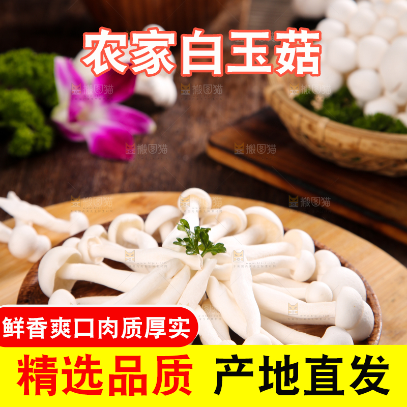 深底上的白玉菇