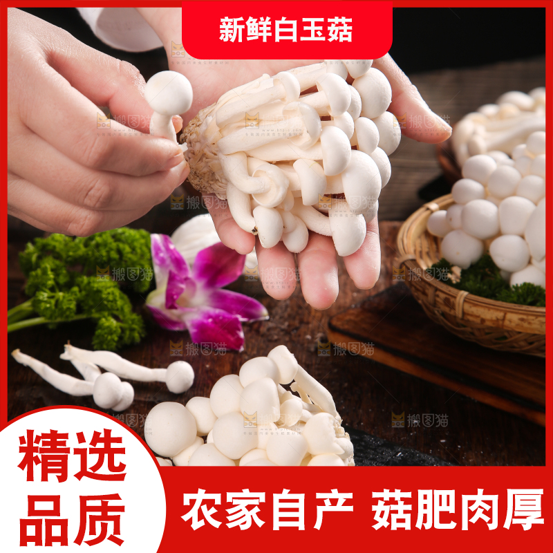 深底上的白玉菇