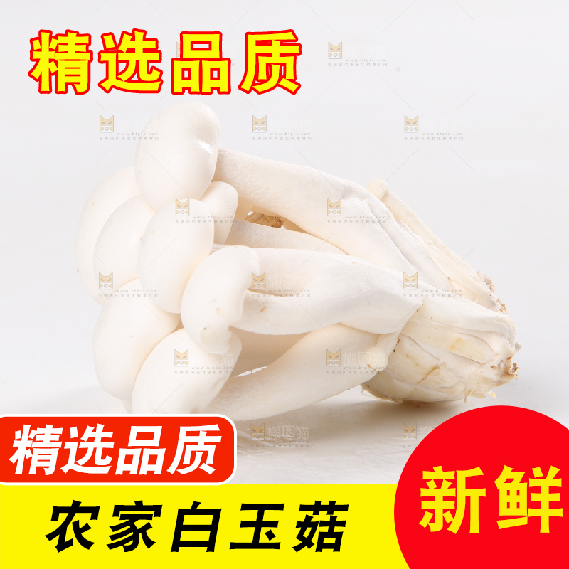 白底上的白玉菇