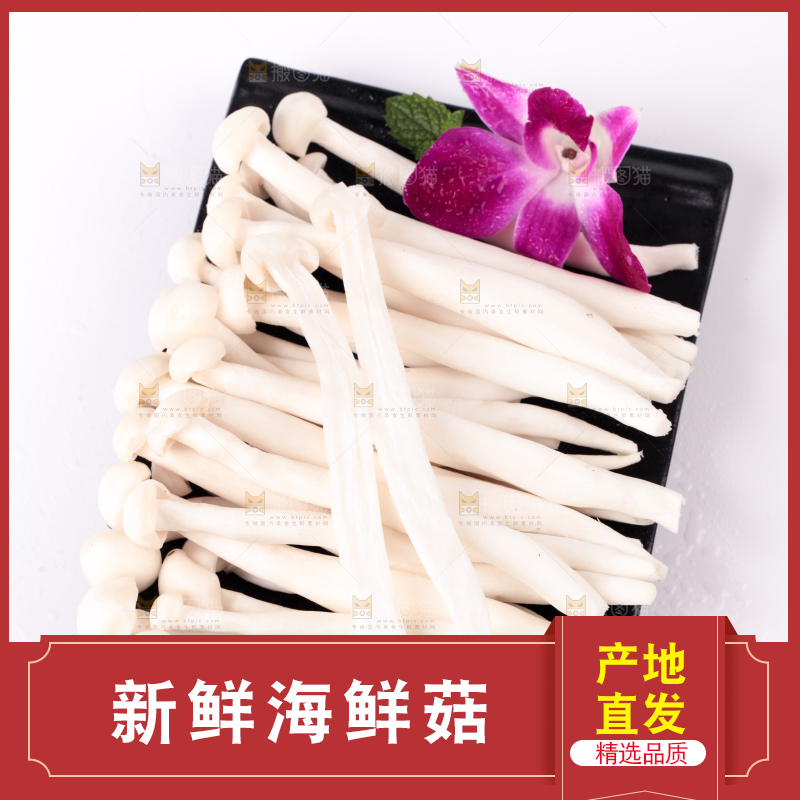 白底上的海鲜菇