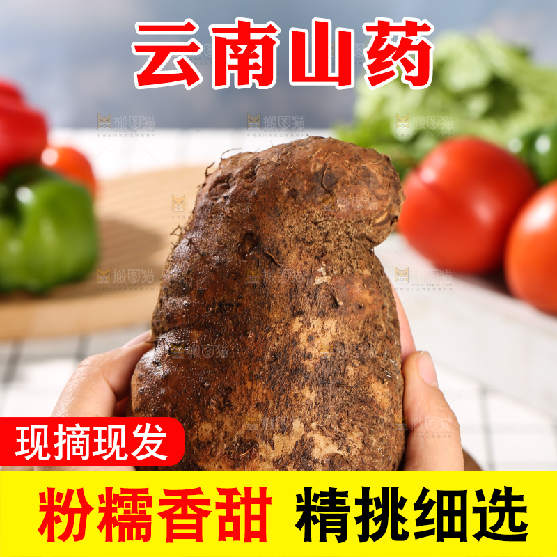 浅底上的云南山药