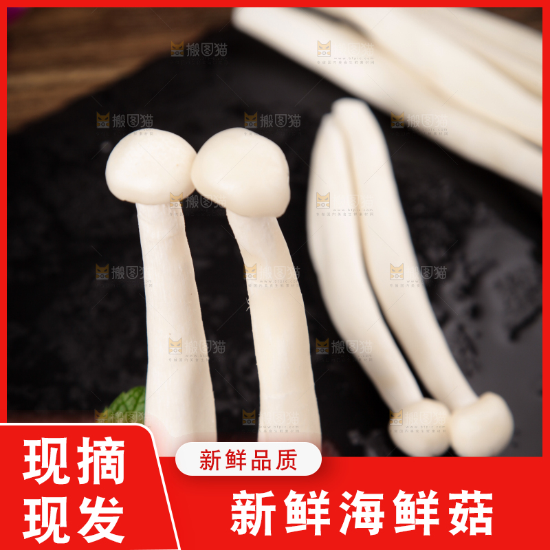 深底上的海鲜菇