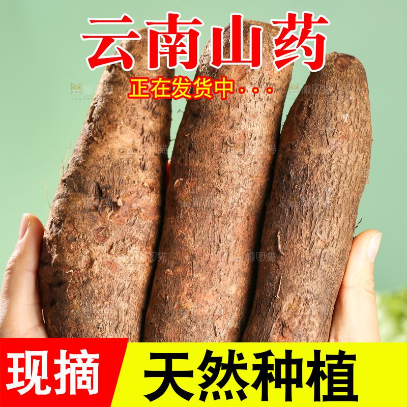 浅底上的云南山药