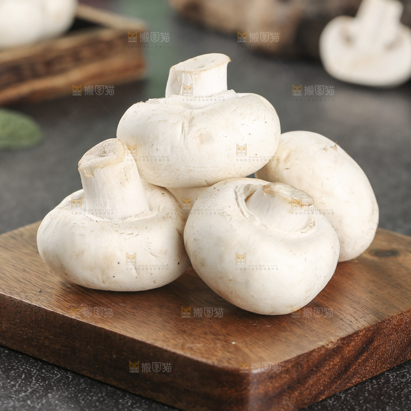 深底上的口蘑