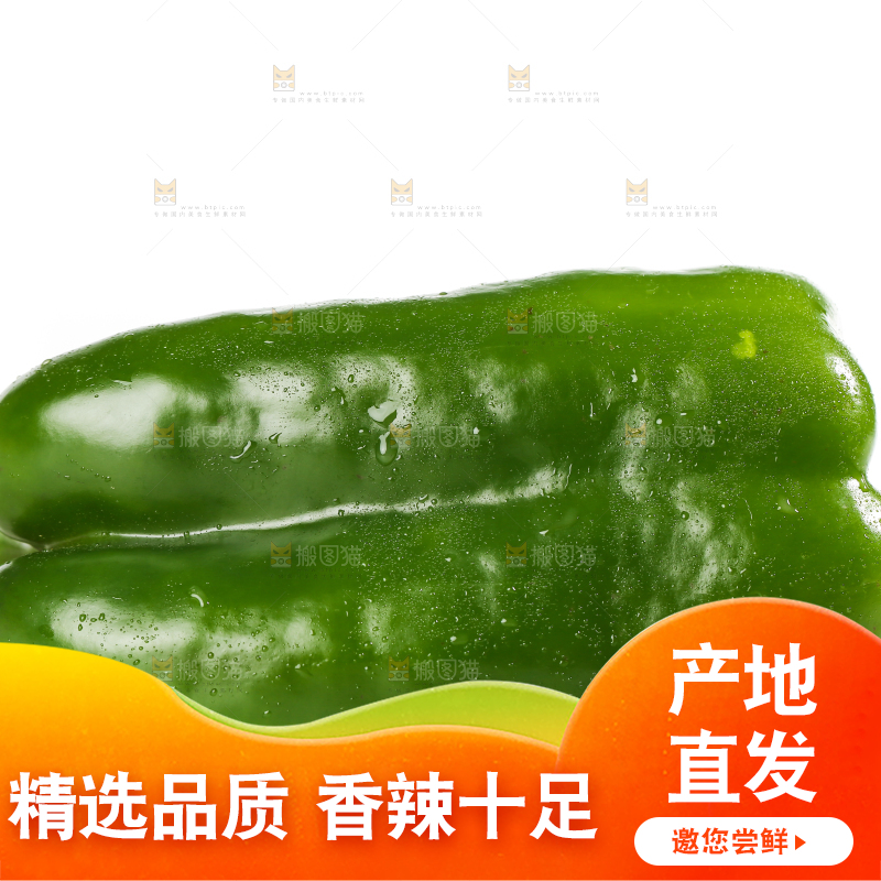 白底上的青椒