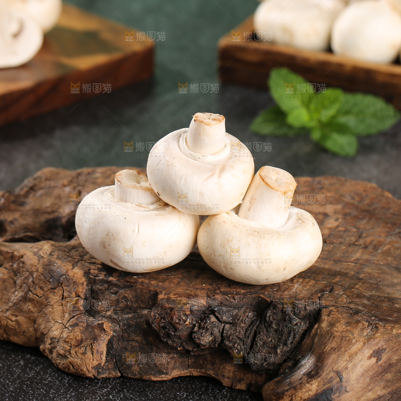 深底上的口蘑