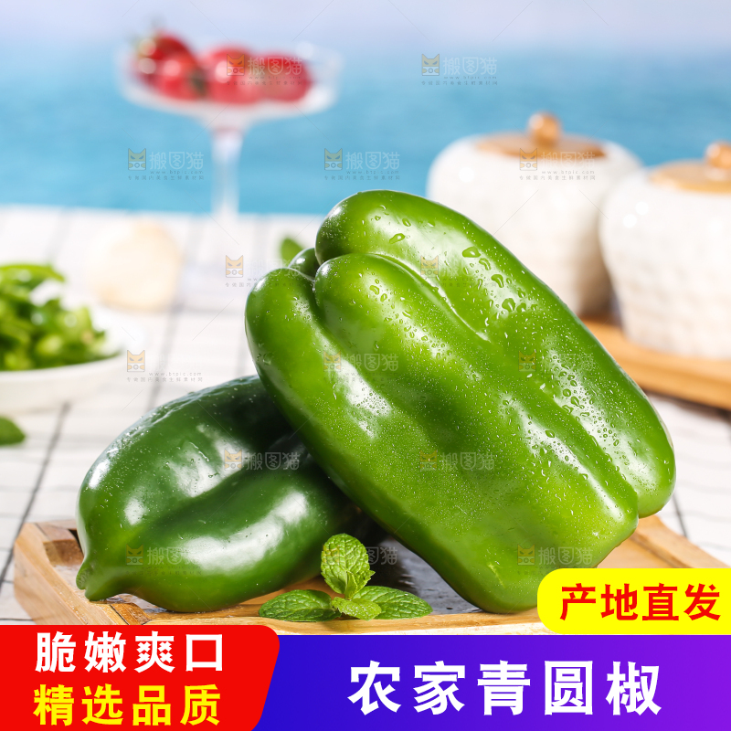 浅底上的青圆椒