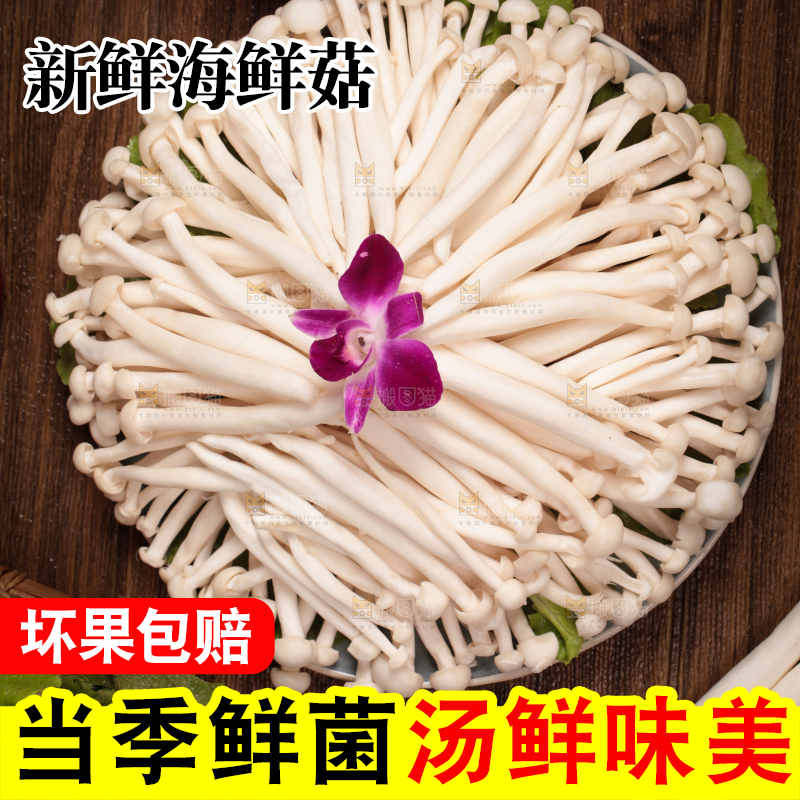深底上的海鲜菇