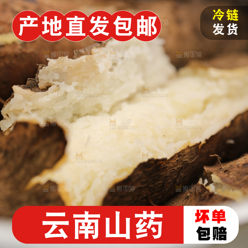 木底上的云南山药