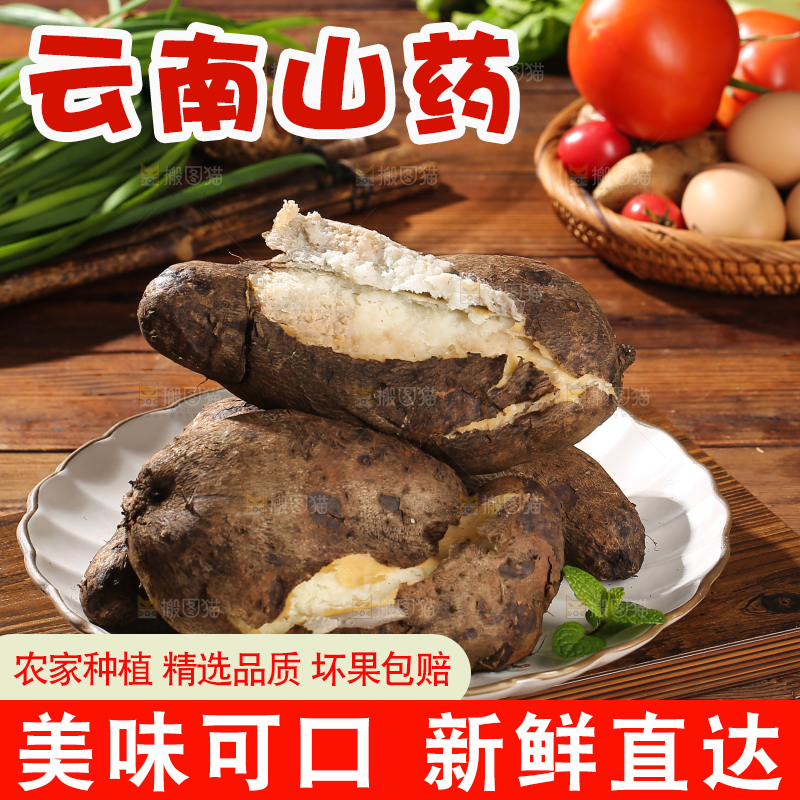 木底上的云南山药