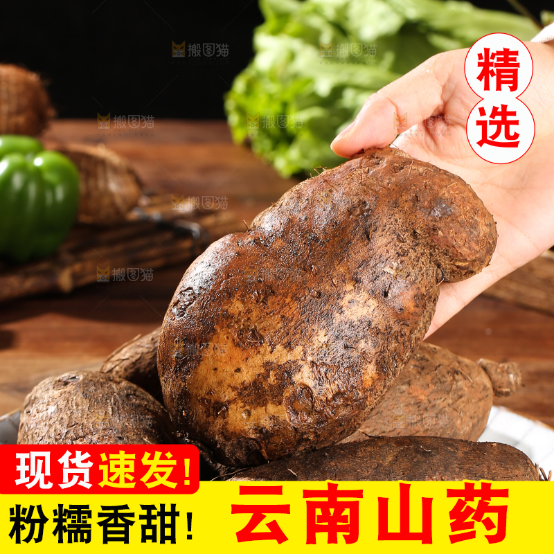 木底上的云南山药