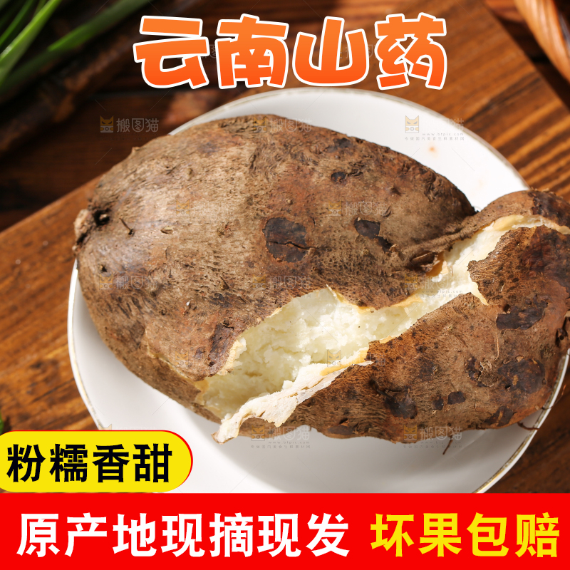 木底上的云南山药