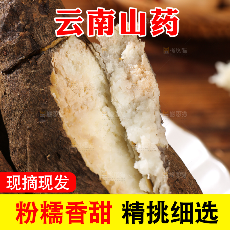 木底上的云南山药