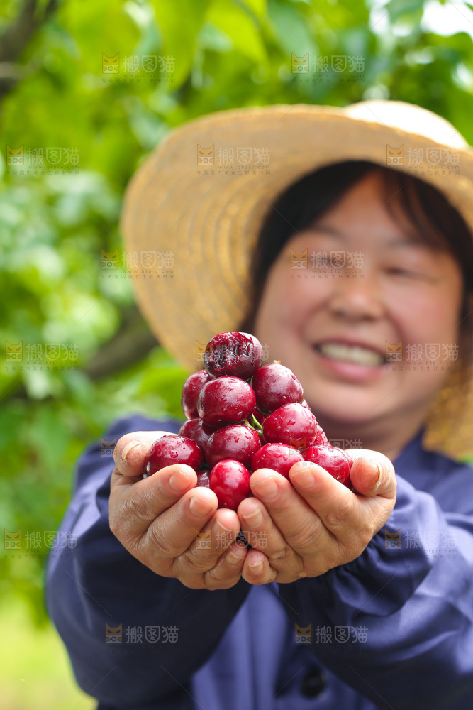 手里拿着新鲜车厘子