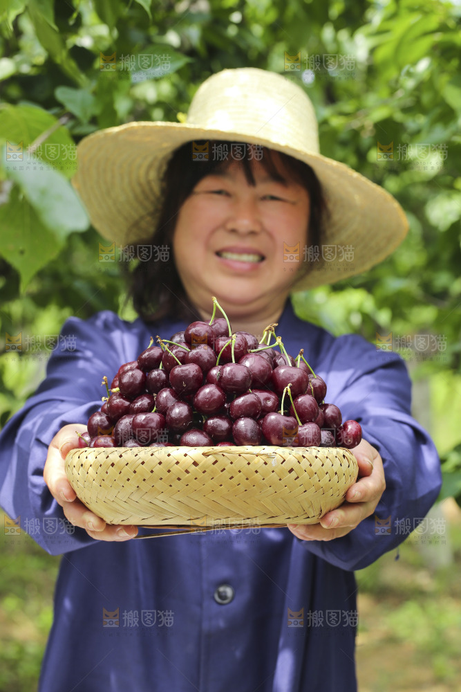 手里拿着新鲜车厘子