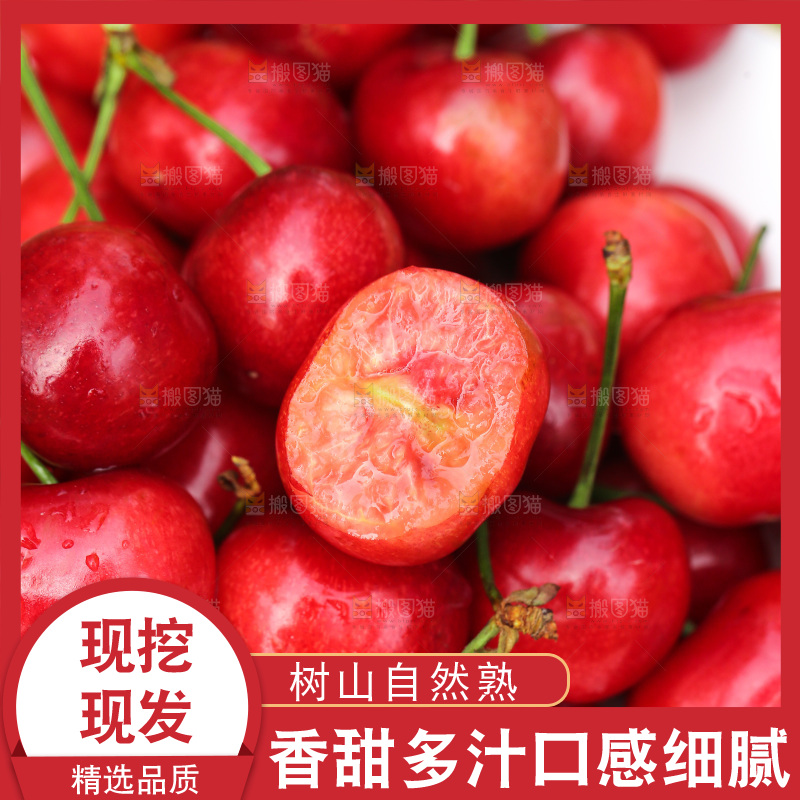 手里拿着新鲜大樱桃