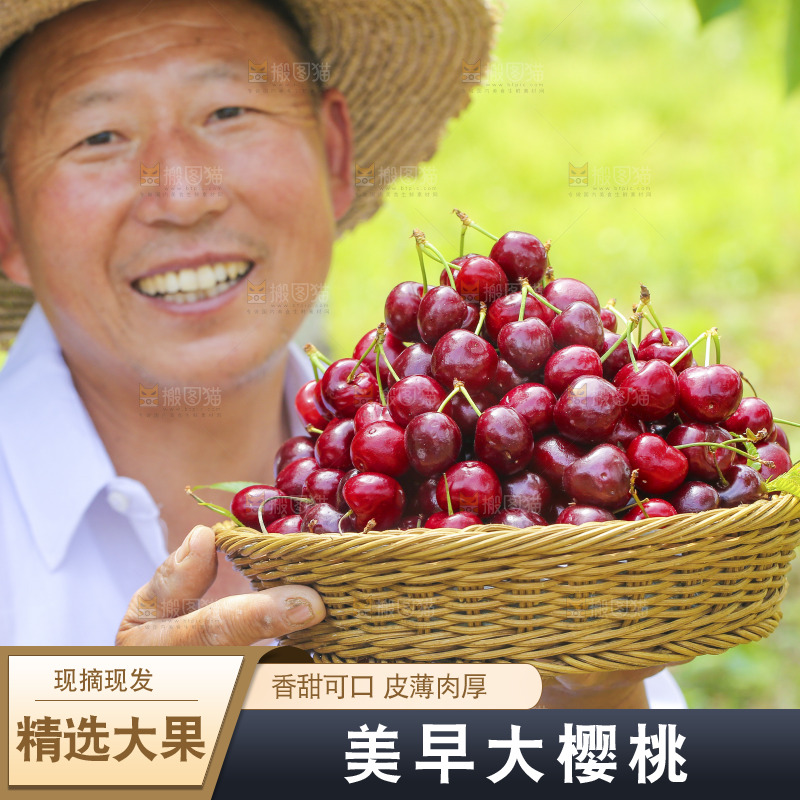 手里拿着新鲜大樱桃