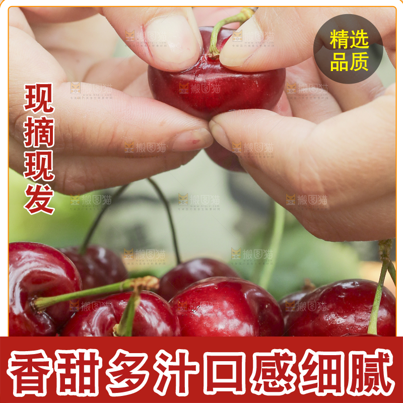 手里拿着新鲜大樱桃