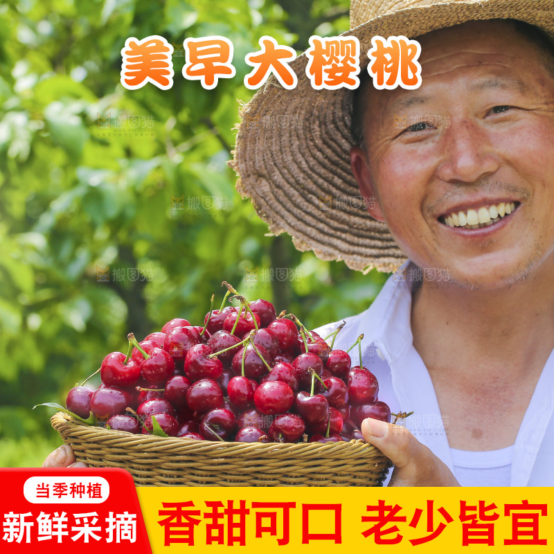 手里拿着新鲜大樱桃