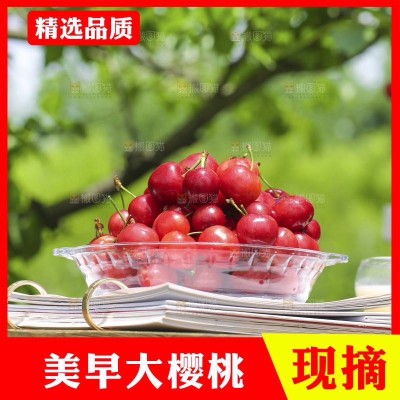 手里拿着新鲜大樱桃